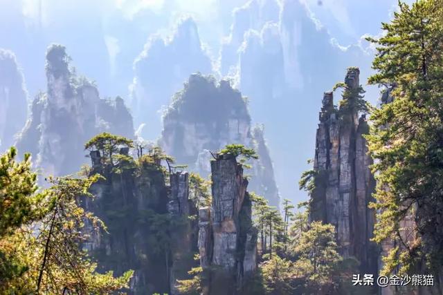 镜头中的山水：寻梦张家界 醉心山水间