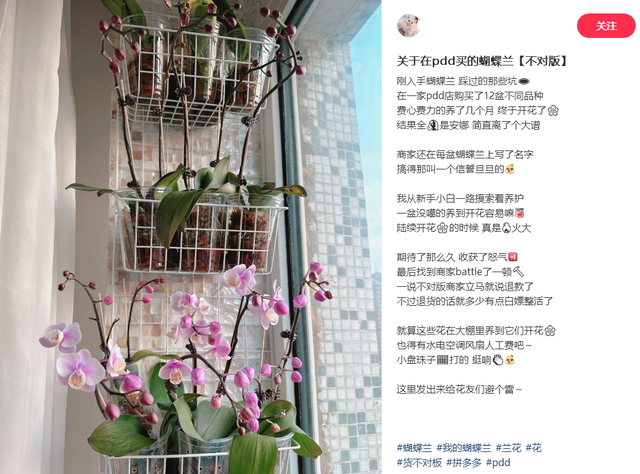 终于知道为何不能在网上买“这6样”东西，都是套路，省钱坑自己