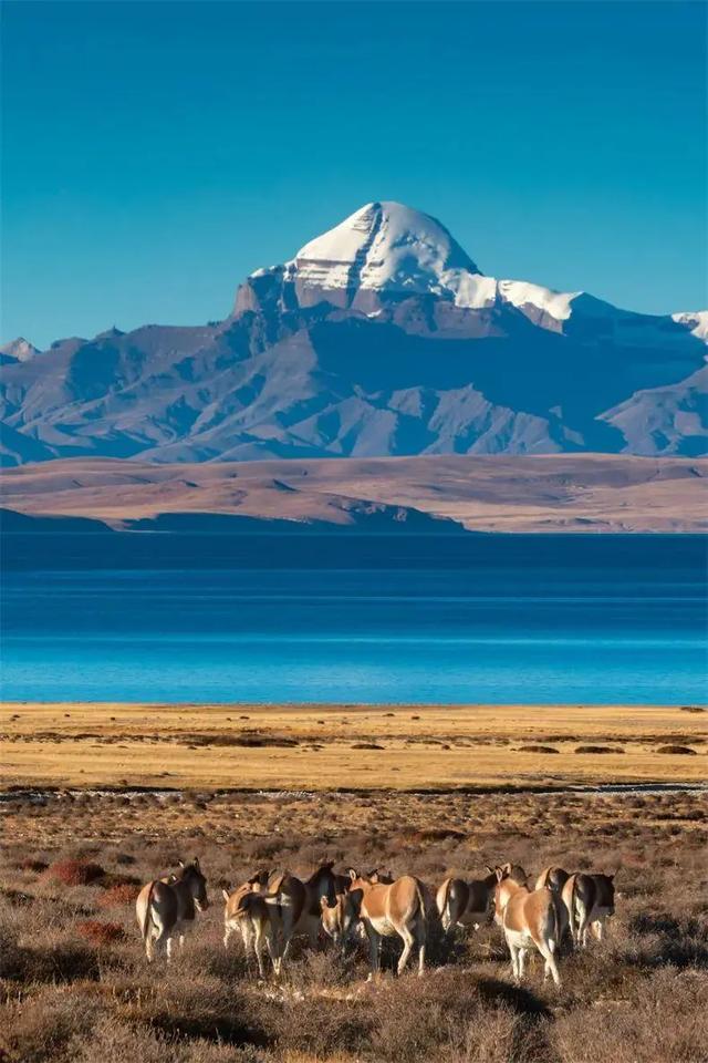 108天,35000公里,在地图画一个圈,三万里山河归来,此生无憾!