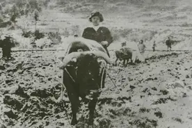 1971年，河北一会计与村妇通奸日久生情杀其夫，3年案破百人挖尸图片