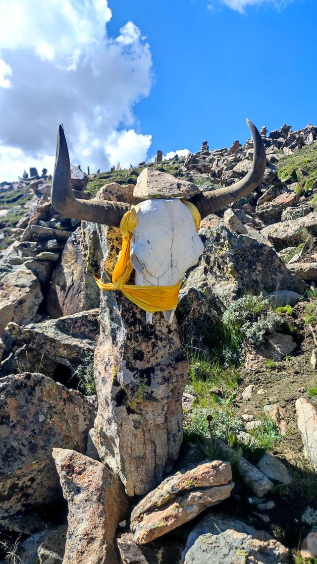 爬拉萨哲蚌寺后山，从海拔3600米到山顶5300米，上下20公里