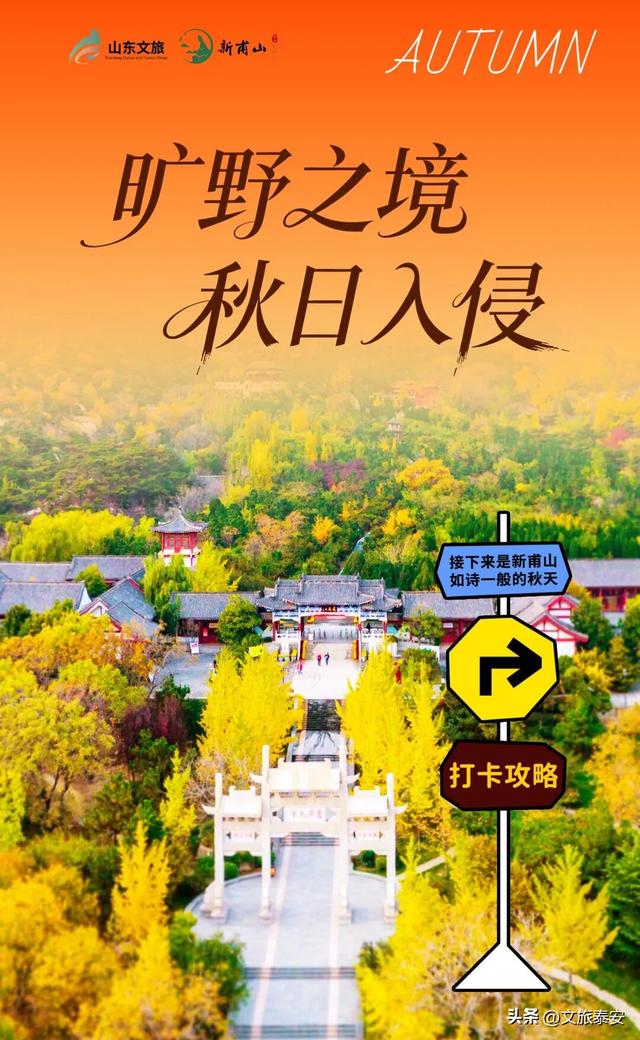来赏银杏啦！还记得那年 “杏” 花微雨，你说要来新甫山~