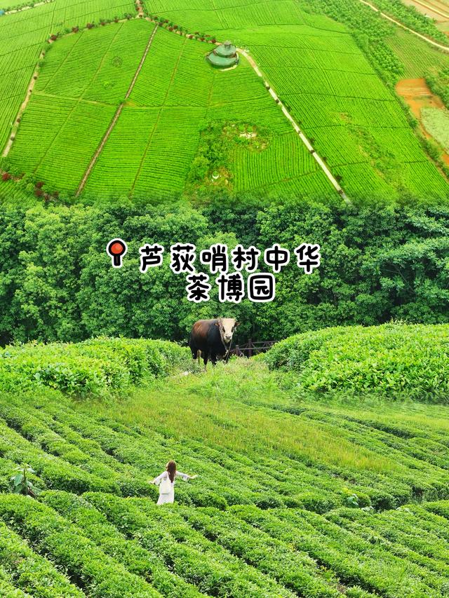 贵阳周末好去处｜红枫湖“小海岛”度假攻略！