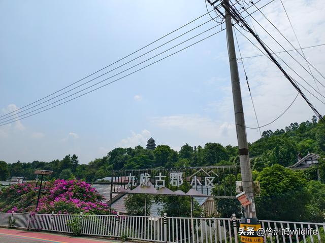 成都徒步（68）·彭州篇⑮佛山古寺&镇国寺宝塔