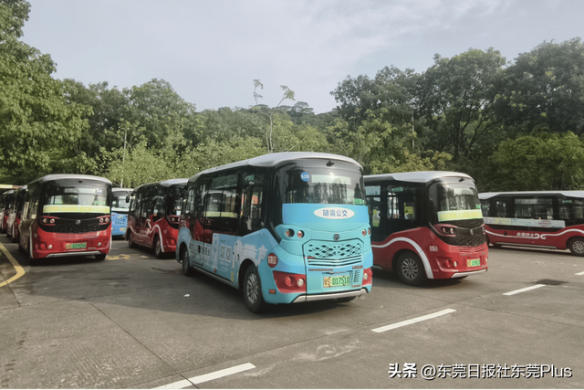 国庆中秋双节同庆，东莞主要自然公园迎客93.99万人次