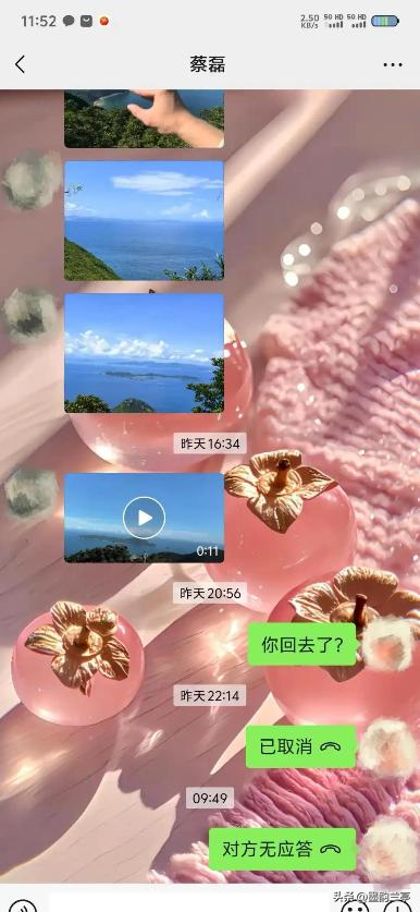 27岁蔡磊已找到！哥哥发声，确认不幸遇难，遗体已找到