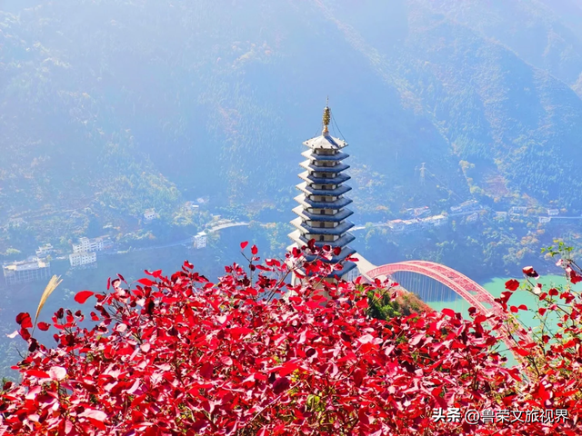 徒步三峡：霜叶漫山处，一步一千年
