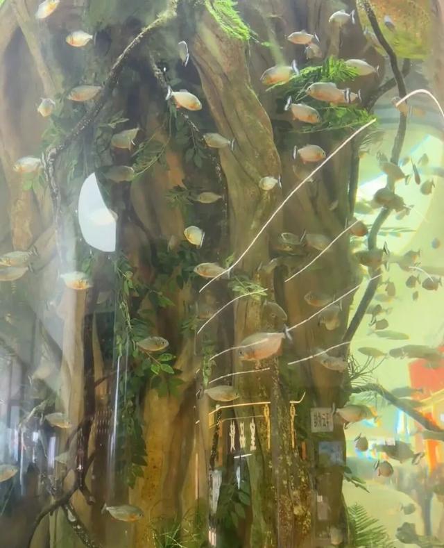 惊呆了！无锡这个服务区