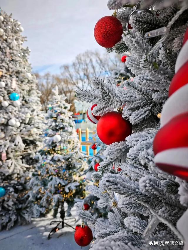 太美了!今年冬天我就去孝感这里过!