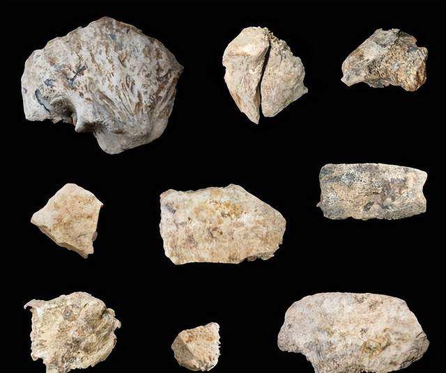 世界上只有中国河南省许昌市才有的 “全球独一无二的 5 大奇景”