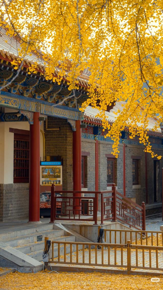 跟着书圣游临沂：解锁书法爱好者的宝藏之旅！