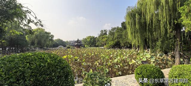 探秘保定古莲花池：穿越八百年的园林传奇