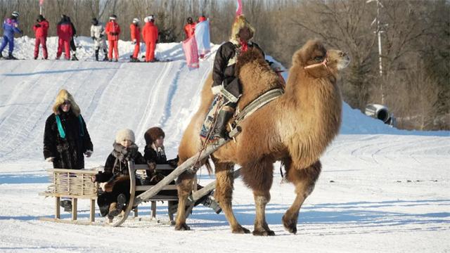 银色乌珠穆沁草原冰雪那达慕暨草原99号公路冰雪季隆重开幕