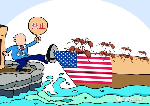 80%以上的村民都被咬，围攻广东村庄的这个入侵物种究竟什么来头