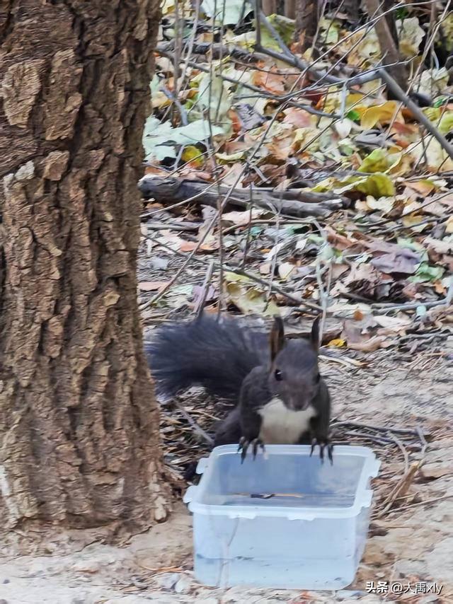 别再只盯着Sora了！AI视频江湖已经大变天，这波操作你看懂了吗？