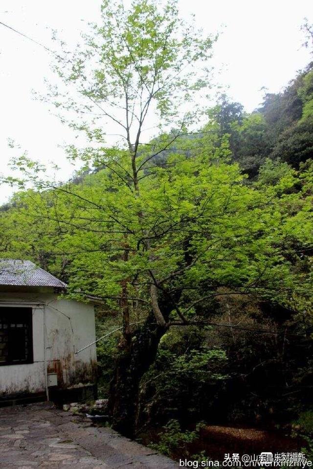 水口景区小记（江西之旅第八十八篇）