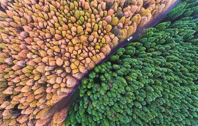 南川：聚力打造文旅康养首选地