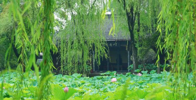 桂湖免票！成都及周边多家景区官宣免票_半价