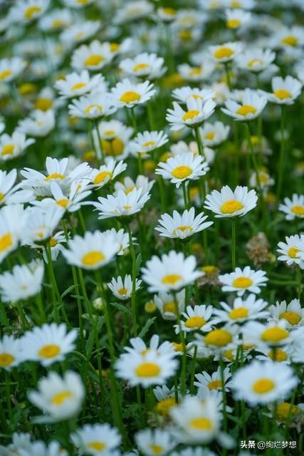 “忙	”字背后，爱已悄然退场？