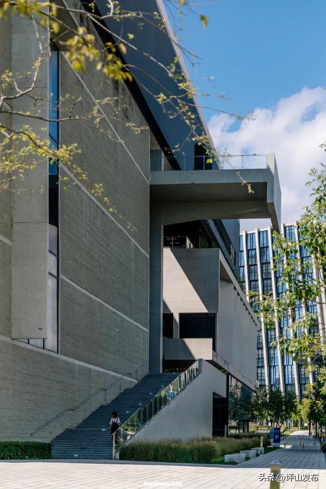 【网文】深圳风向:未来的坪山可能让你刮目相看