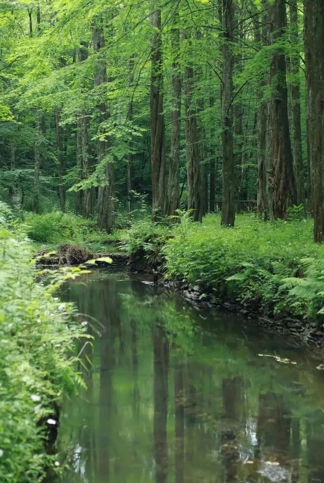 凉爽新大陆！成都出发高铁2.5h抵拢18℃的古韵之城，风景堪比阿勒泰，美食多到吃不完！