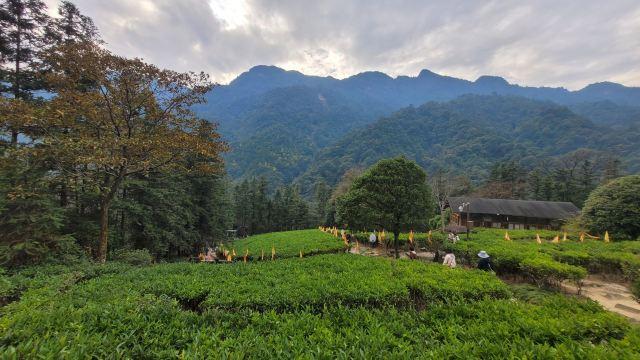 广西小众城市-贺州篇丨后悔没早发现这宝藏山水小城，适合短线游