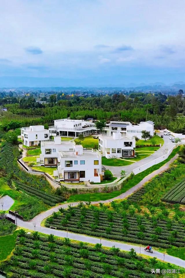 “骑”遇惊喜，快来成都蒲江“醉氧”绿道，开启你的追风之旅！