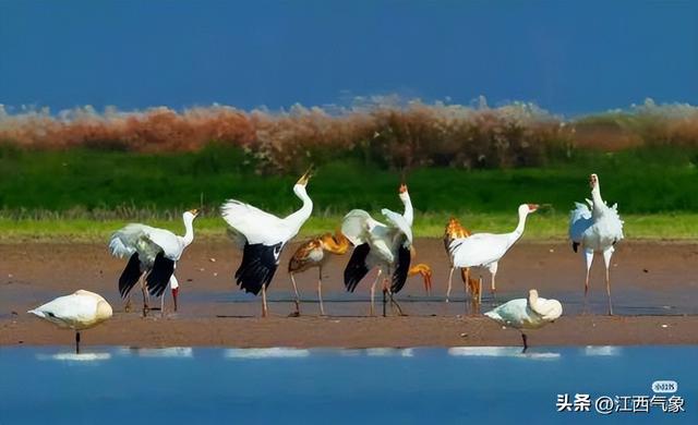 【玩转气候密码】一秒get江西冬日的气象魔法！