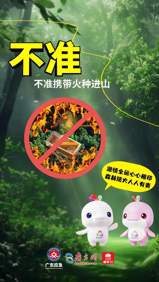 森林特别防护期，严禁这些行为→