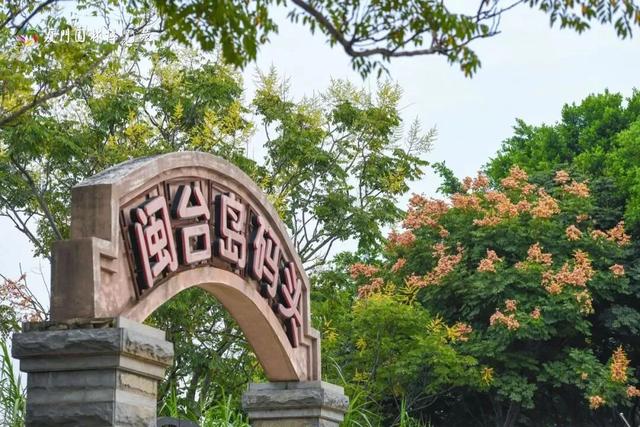 厦门秋季花海上新!红火焰、粉花海、黄金雨、橙灯笼……邂逅9月浪漫~