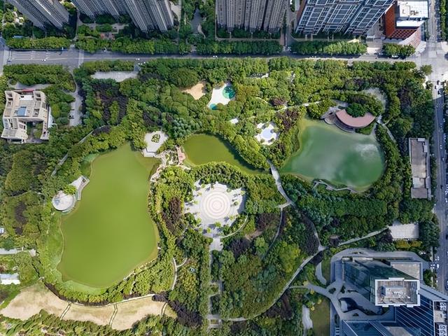 西安中湖公园 绿意盎然 园景如画