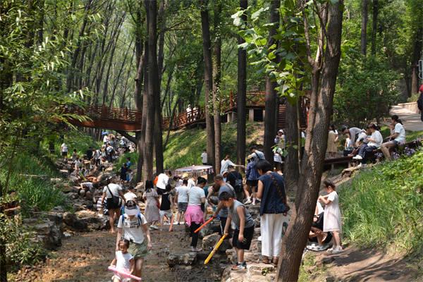 山水蒙山、 生态蒙山、 清凉蒙山、 旅游人气旺！