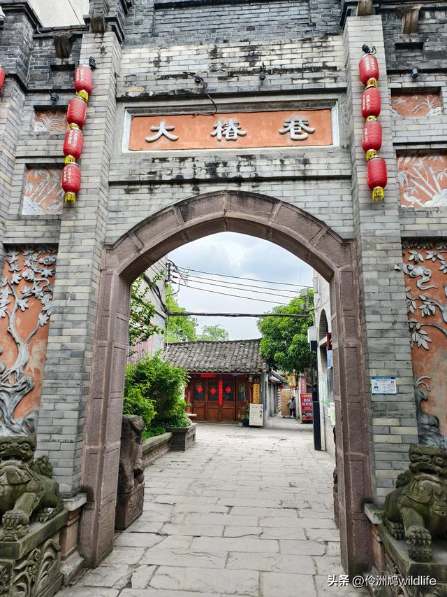 成都古镇（15）郫县唐昌古镇崇宁公园·大椿巷