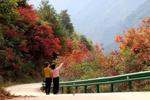 【千里嘉陵江 虞关好风光】虞关秋意浓，山水共秋酡