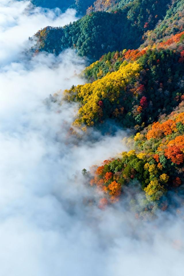 分享图片一迷人的风景