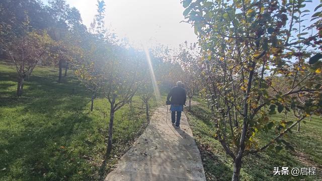 80多岁的老人爱上户外徒步