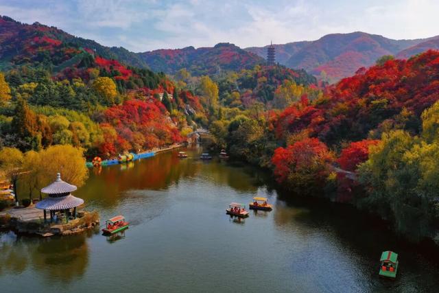 魅力济南‖深秋赴约红叶谷，万山红遍醉金秋