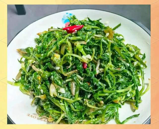 宕昌：深藏陇南的山水秘境，一次解锁“小九寨”的惊艳与人间烟火