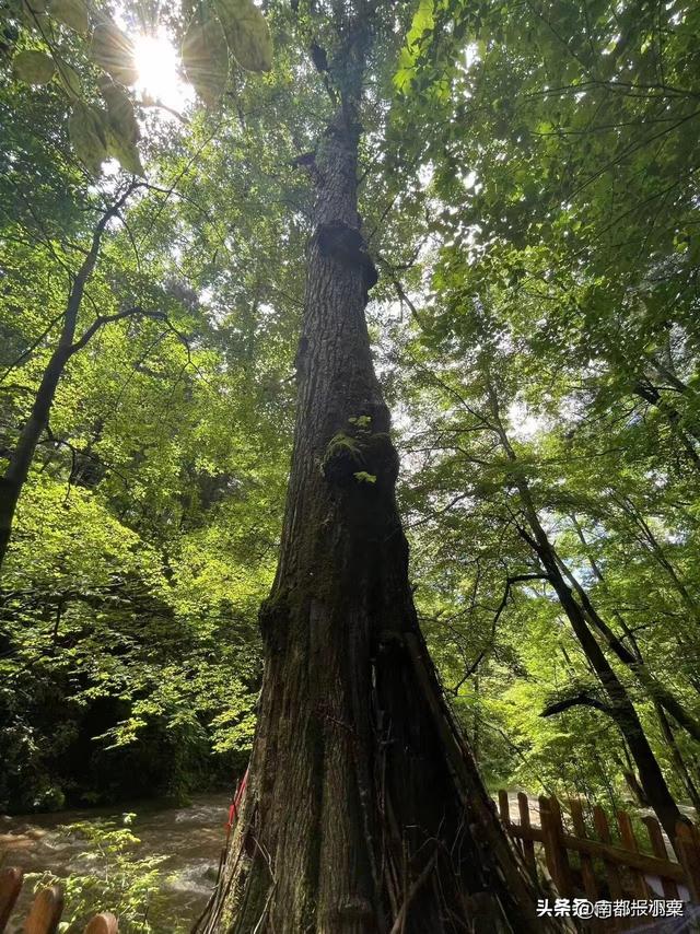 吉林白城的几个古镇