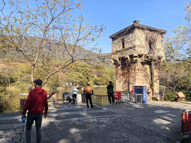 南京紫金山郊野徒步