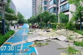 成都一楼盘交付仅两年外墙大片脱落 开发商：暴雨导致外墙渗漏图片