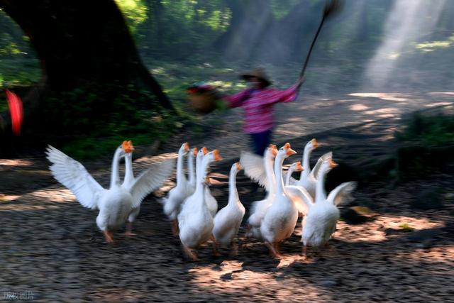 从湖南去了一趟霞浦，实话实说，回来才发现朋友圈都是骗人的？