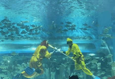 奥特曼在海洋馆大战怪兽？网友：果然一代人有一代人的海洋馆