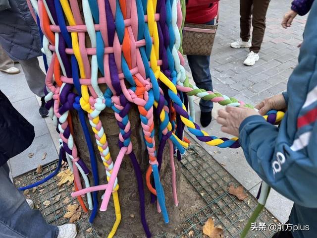 “多巴胺”树衣 点亮古城冬日盛景