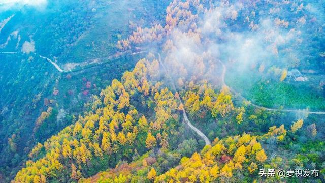 【东方微笑 多彩麦积】摄影师看麦积 | 龟凤山染金映云海