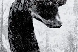 1950年解放军炸死蛇王事件，老人讲述: 长达20多米 令人不寒而栗图片