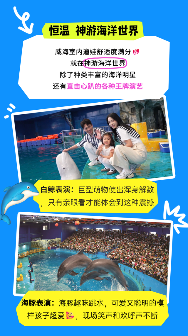 大威海是我的家乡~冬游华夏城，贼带劲！直接玩到不想走！