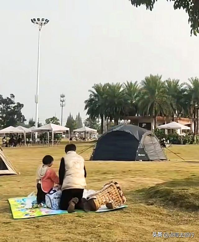 免费！成都府河上的水杉红惊艳来袭，地铁公交车直达！