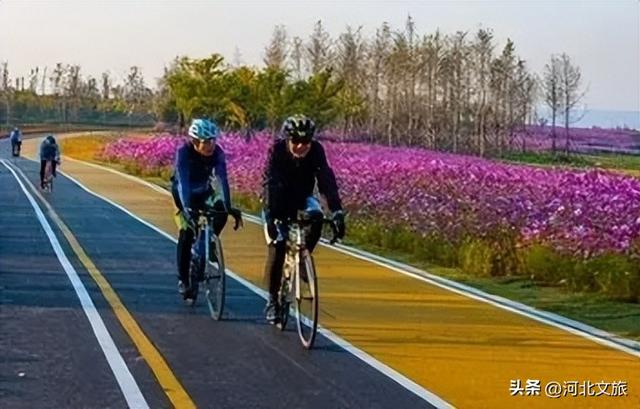 秋天的溢泉湖流光溢彩，将浪漫与温馨装满