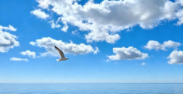 天空不挂云，内心不生尘：真正的自由，从学会“放下”开始